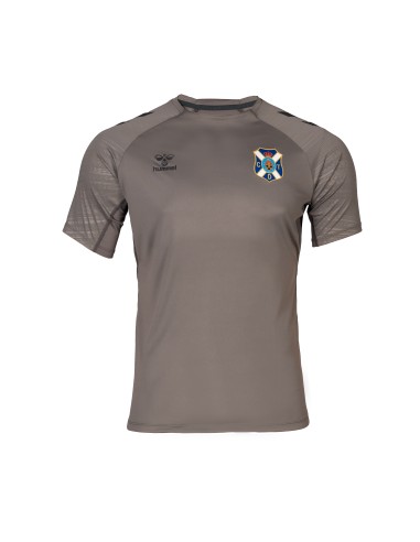 Camiseta entreno técnico gris 24-25