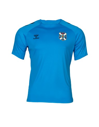 Camiseta entreno jugador 24/25