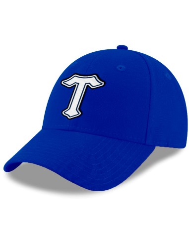 Gorra varsity fan T color azul