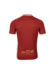 Camiseta segunda equipación... 2