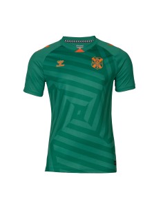 Camiseta portero verde... 2
