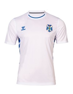 Camiseta básica Authentic