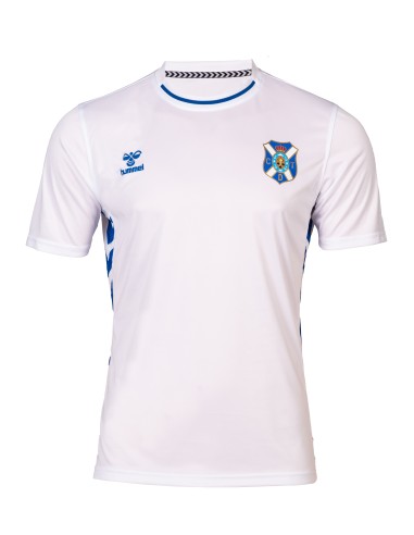 Camiseta básica authentic