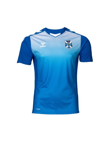 Camiseta entrenamiento pre partido
