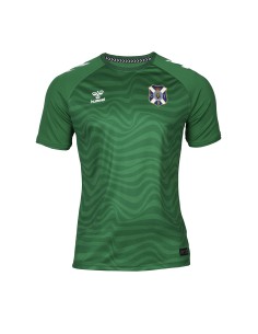 Camiseta portero verde...