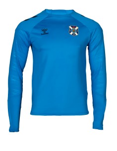 Jersey entreno azul jugador...